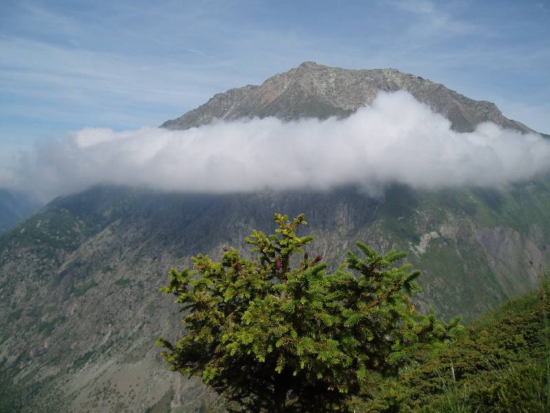 Youri - Ecrins 2005 334 